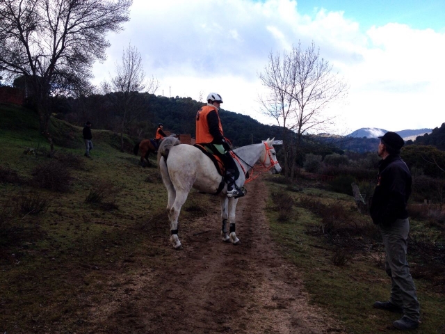 Pasando un camino